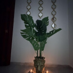 PLAZAS EN CHALET LUJO Ciudad Real