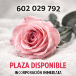 PRAZA OPORTUNIDADE EXCLUSIVA INCORPORACIÓN INMEDIATA VIGO E PONTEAREAS
