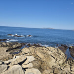 PLAZA DISPONIBLE INCORPORACIÓN INMEDIATA PISO CÉNTRICO LIMPIO Y MUY TRANKILO