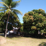 Plazas disponibles en chalet privado