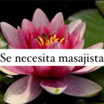 Buscas un extra? Necesitamos masajista. Ofrecemos un fijo al mes