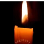 Profesional integra y formal