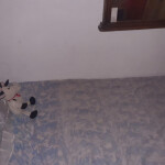 Plazas disponibles - Urgente..!!! Tenemos plazas disponibles solo para chicas Buen sitio situado en 