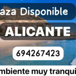 Plaza disponible - Alicante Piso moderno cómodo y tranquilo A quien le guste la limpieza y el orden 