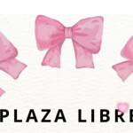 CHICAS PLAZAS DISPONIBLES EN SEVILLA