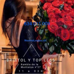 SE BUSCA A CHICAS Y TRANS FEMENINAS.