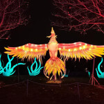 Busco chica para trabajar