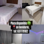 Plaza en Benidorm - Buscamos chicas con buen porte con ganas de trabajar tranquilas etc estamos en b