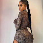 NOVEDAD EN IBIZA RECIEN LLEGADA