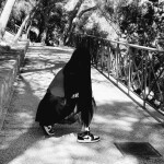 Paolla mulher colombiana safada