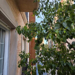 Chica para piso - Si eres una chica y quieres estar en piso para conocer amigos de lunes a viernes h