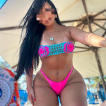 Andrea amorosa latina