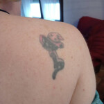 Madura esperta en primcipiamtes