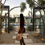 Carolina trans Latina