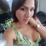 Novedad trans latina