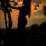 ANSO RECIÉN LLEGADA A PEDREGUER ESTOY DISPONIBLE 24 7