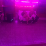 Gabriela Sánchez - Se informa a sus que se abre pub Sam Gregorio día 19 de marzo vus esperemos com n