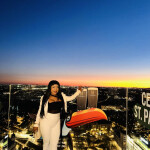 Novedad medusa morena