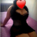 Novedad recién llegada