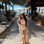 NUEVA. Gata con ojos azules