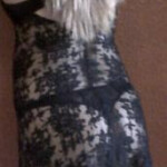 Stela con ganas de conocerte