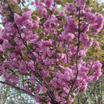 Masaje en camilla cariñosa besucona discreto