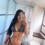 Suci novedad elegancia y total