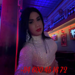 TRANS VENEZOLANA DESDE ITALIA NOVEDAD EN TU CIUDAD