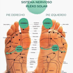 MASSAGE PROFESSIONNEL Y DEPILACIÓN