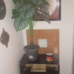 Casa de chicas exclusivo
