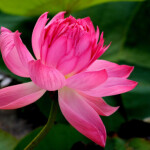 RELAXING MASSAGE FOR MEN AND WOMEN