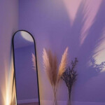 Alquilo habitación solo chicas