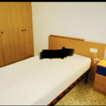 Alquilo habitaciones