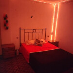 Alquiler de habitaciones