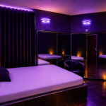 SUIZA PLAZA FIJA CON ELEVADOS Y AMBIENTE