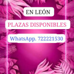 PLAZAS DISPONIBLE ALTOS EN LA CIUDAD DE LEÓN