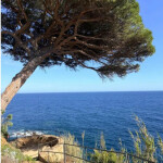 Plaza disponible badalona