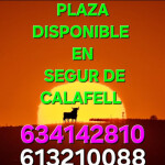 PLAZA DISPONIBLE INMEDIATA LLÁMAME WHATSAPP Y TE INFORMARÉ