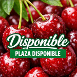 Plaza disponible en la zona de Fuenlabrada631183688