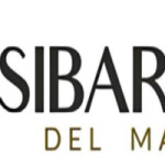 SELECCIONAMOS MASAJISTA CON ESTILO Y PRESENCIA PARA EXCLUSIVOS