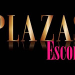 PLAZA DISPONIBLE CON INCOPORACION INMEDIATO.