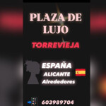 PLAZA ALICANTE TRABAJA SEGURA COMODA Y CON GARANTIA