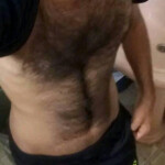 TIARRÓN ESPAÑOL DE PURA SANGRE FUERTE Y GUAPO