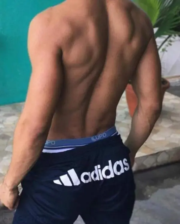 Fondo avatar