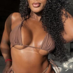 Victoria mulata bella