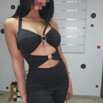 Tu compañía perfecta ha llegado