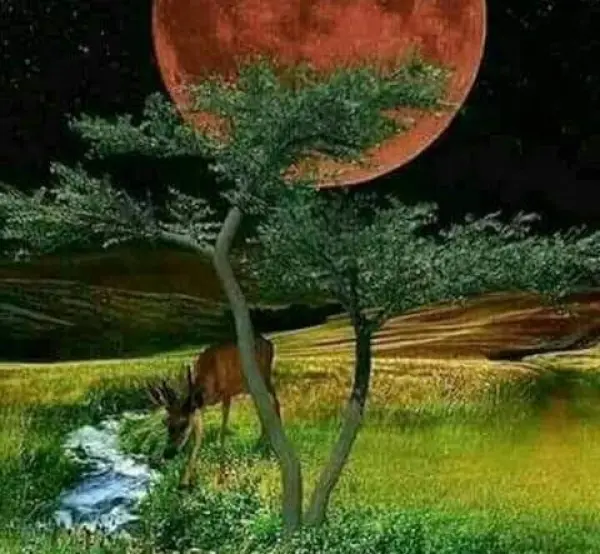 Fondo avatar