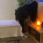 Zaragoza masajes - Saludó a todas categorias de personas. Soy chica sociable amable con respetó de m