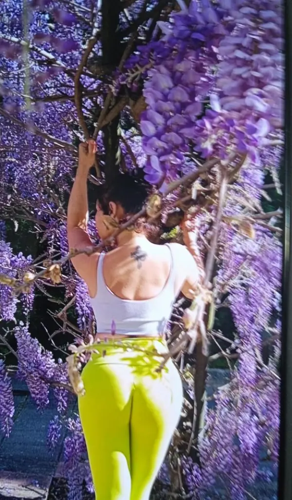 Fondo avatar
