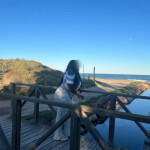 SANDRA SOY LA MULATA QUE ESTABAS ESPERANDO NOVEDAD EN ALZIRA